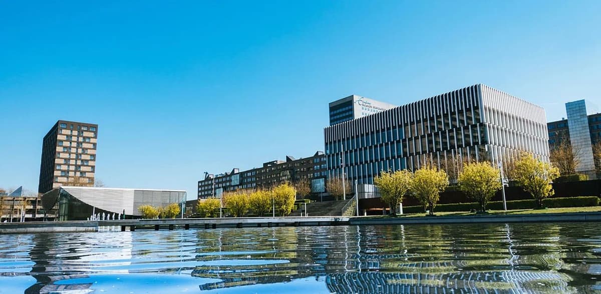 Rotterdam School of Management (RSM)